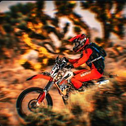 Coby Cochran (Driver Headshot)